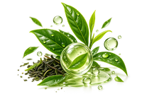 Green Tea Extract